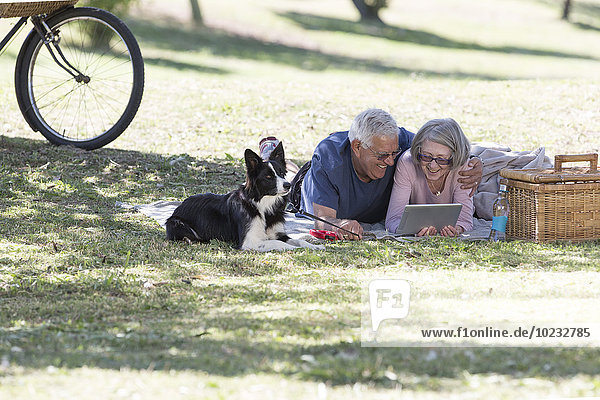 Seniorenpaar liegt auf einer Wiese und schaut auf ein digitales Tablett.