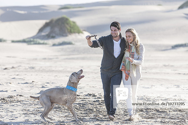 Südafrika  Kapstadt  junges Paar spielt am Strand mit Hund