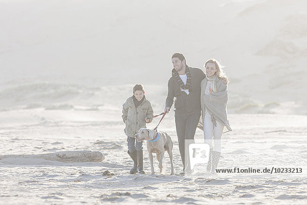 South Africa  Cape Town  happy family walking on the beach with dog