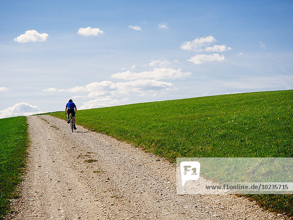 Germany  Black Forest  man riding bicycle on a hiking trail