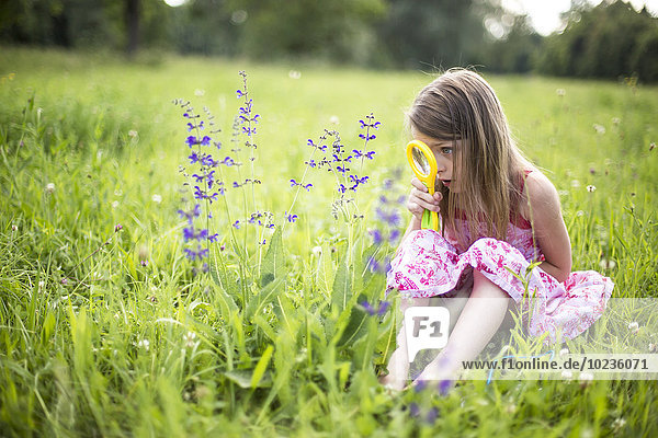 Kleines Mädchen sitzt auf einer Wiese und beobachtet Blumen mit Lupe.