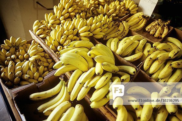 Frische Bananen in Kartons auf einem Markt