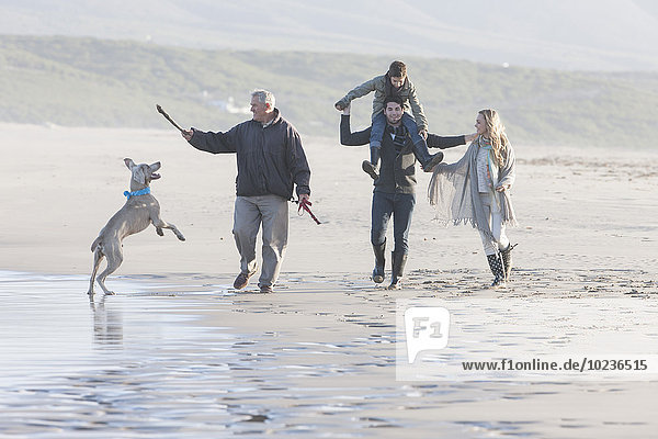 Südafrika  Kapstadt  Familienspaziergang am Strand mit Hund