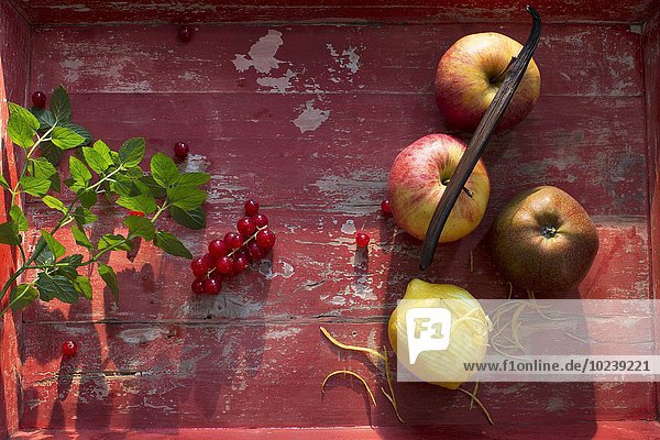 Frische Äpfel  Zitrone  Vanilleschote  rote Johannisbeeren und Minze