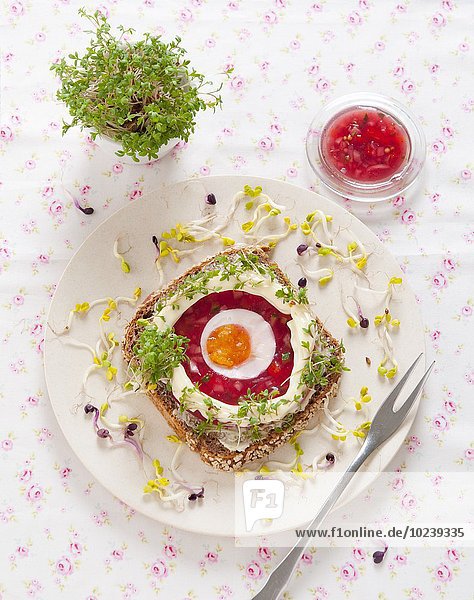 Belegtes Vollkornbrot mit Rote-Bete-Aspik  Ei  Mayonnaise  Kresse und Rettichsprossen
