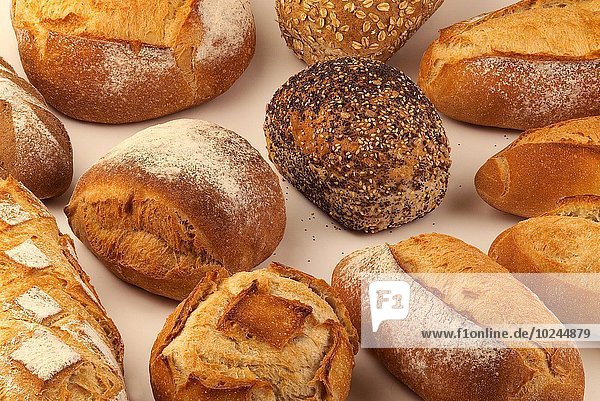 Brot Brotlaib Sortiment