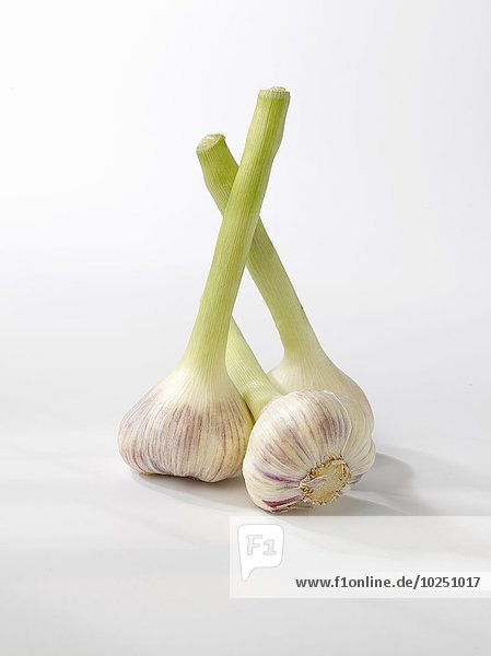 Garlic heads