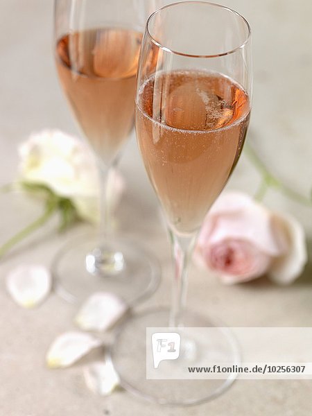 Rose 2 Champagner