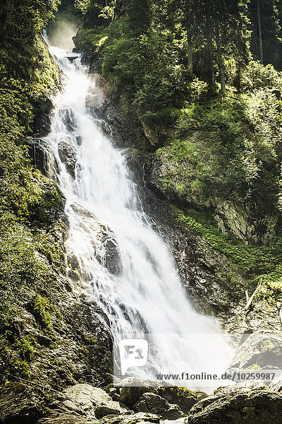 Blick auf den Wasserfall im Wald