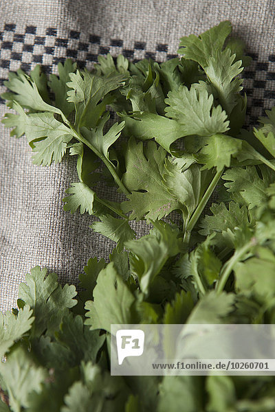 Close-up of coriander leaves on fabric