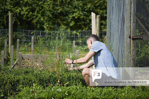 Young man analyzing plants while sitting in park