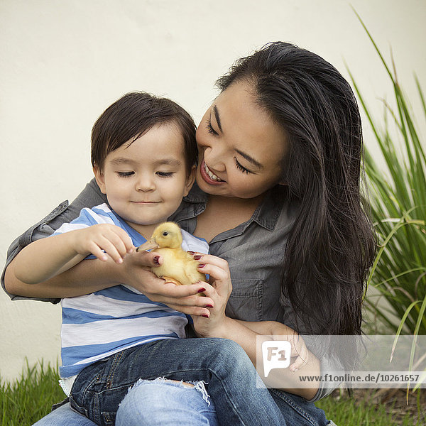 Frau sehen lächeln Sohn gelb halten jung Entenküken
