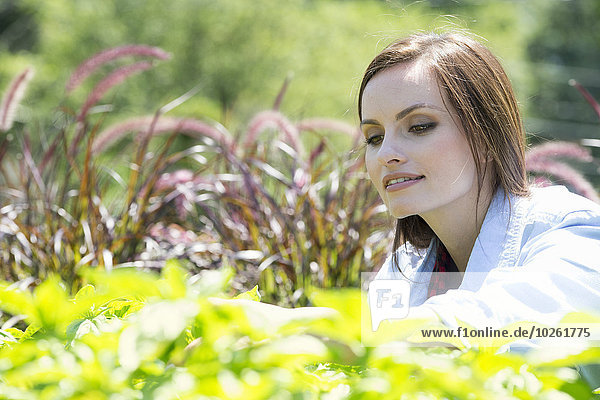 A young woman in a garden examining growing plants.