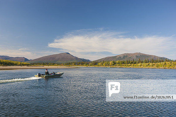 Person driving a small motor boat down the Kobuk river on a calm sunny day  Arctic Alaska  summer
