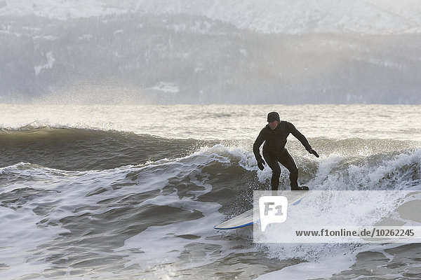 Person surfing in winter in Homer  Kenai Peninsula  Kachemak Bay  Alaska.