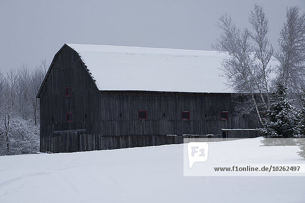 Dach Winter bedecken Scheune Bauernhof Hof Höfe Kanada Quebec Schnee