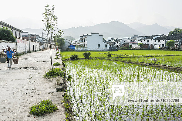 nahe klein Dorf Feld Reis Reiskorn China