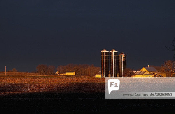 Getreidesilo Amerika Beleuchtung Licht Sonnenaufgang ernten dramatisch Verbindung Maisfeld Bauernhof Hof Höfe Brachland Minnesota