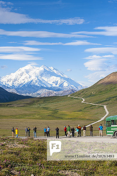 Tourist viewing Mt. McKinley from Stony Hill Overlook  Denali National Park  Interior Alaska