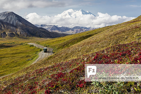 Scenic view of Mt. McKinley with a park shuttle bus and red fall colors in the foreground in Denali National Park  Interior Alaska  Summer  USA.
