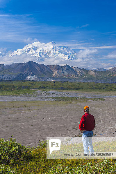 A man views Mt. McKinley from a hillside near the Eielson Visitor Center in Denali National Park  Interior Alaska  Summer