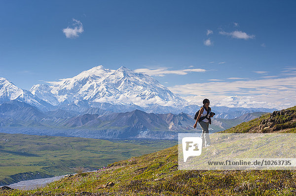 A woman is hiking up a trail near the Eielson Visitor Center in Denali National Park with Mt. McKinley in the background  Interior Alaska