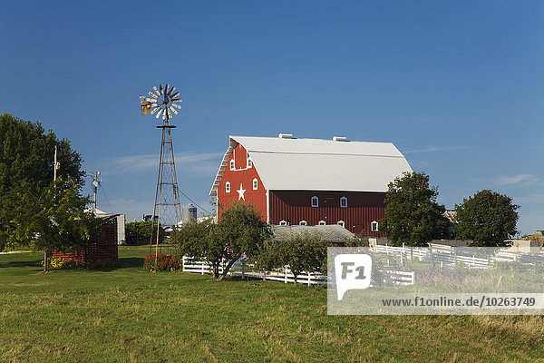 Amerika Bauernhof Hof Höfe Scheune rot Verbindung Windmühle Iowa
