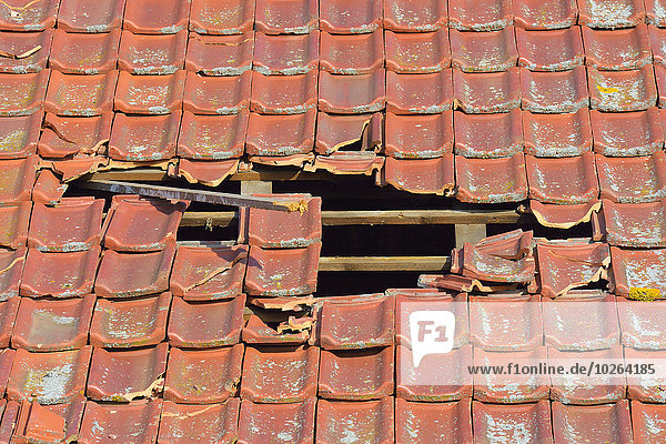 Dach Close-up Scheune zerbrochen Deutschland Hessen alt