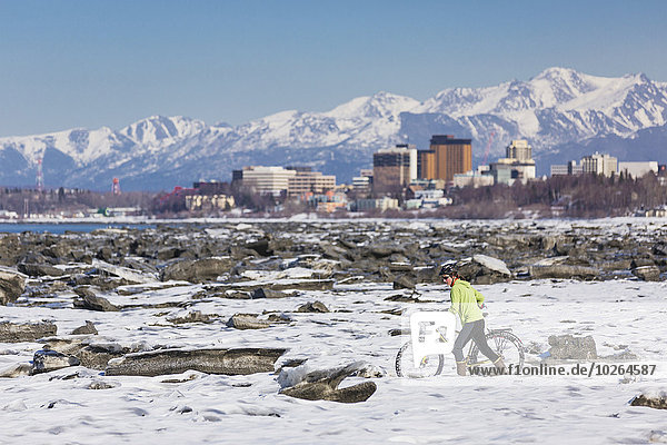 A young woman pushes her studded tire bicycle amongst the ice chunks in the Cook Inlet next to the Tony Knowles Coastal Trail  Anchorage  Southcentral Alaska  USA.
