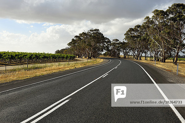 Sommer Fernverkehrsstraße Australien South Australia