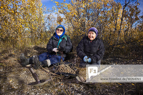 Vereinigte Staaten von Amerika USA sitzend ernten Boden Fußboden Fußböden Wurzel Schaufel 2 reifer Erwachsene reife Erwachsene Ethnisches Erscheinungsbild Noatak Alaska Alaska