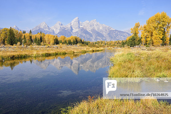 Vereinigte Staaten von Amerika USA Berg Hintergrund Herbst landen Wyoming