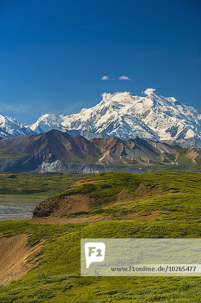 Nationalpark Hintergrund wandern 2 Einheit Wiese Denali Nationalpark Mount McKinley Backpacker