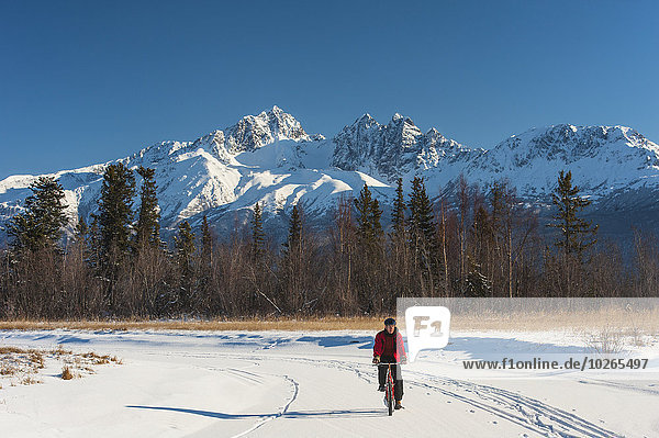 Man bicycling on frozen Rabbit Creek in the Palmer Haystack Game Refuge with Twin Peaks in the background  Southcentral Alaska  winter