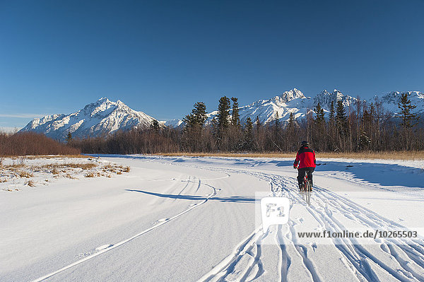 Man bicycling on frozen Rabbit Creek in the Palmer Haystack Game Refuge with Twin Peaks in the background  Southcentral Alaska  winter