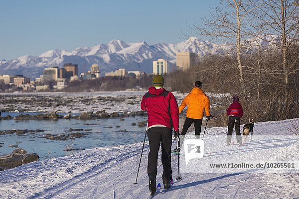 People cross country ski and skijor with an Alaska Husky on the Tony Knowles Coastal Trail near Earthquake Park with Anchorage skyline in the background  Cook Inlet  Southcentral Alaska