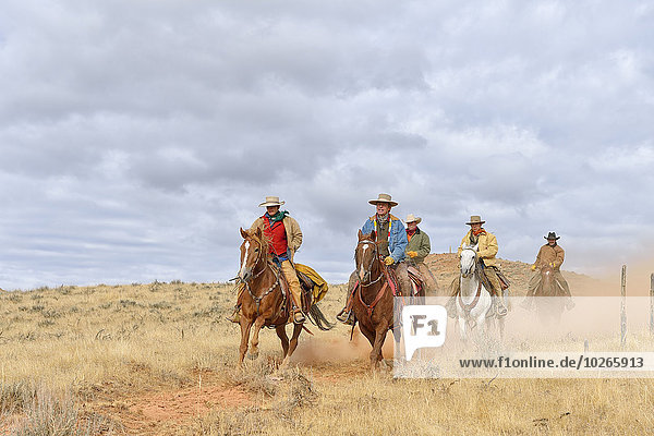Cowboys and Cowgirl Riding Horses  Shell  Wyoming  USA