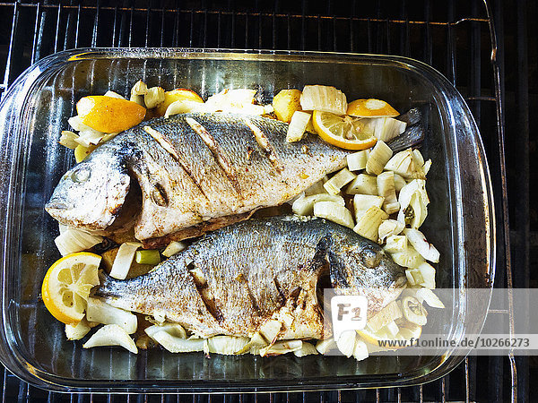 Fish Dish in Oven