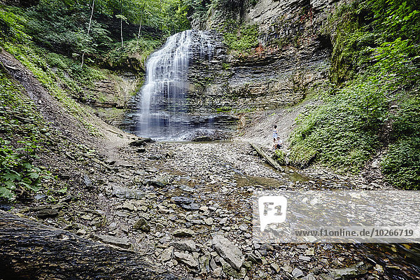 Tiffany Falls waterfall; Hamilton  Ontario  Canada