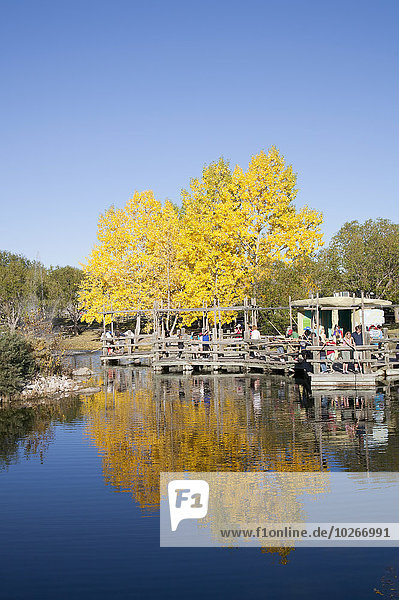 Mensch Menschen Dock angeln Einsamkeit Alberta Calgary Kanada Teich