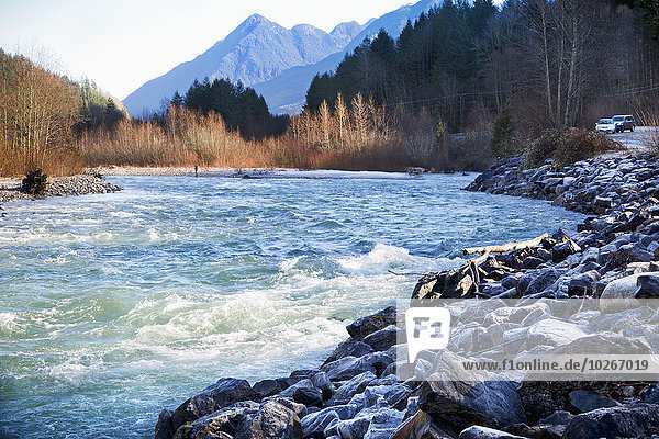Frost on rocky riverbank along Chilliwack River Road; Chilliwack  British Columbia  Canada