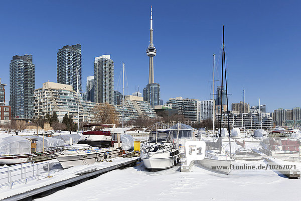 Winter Boot Jachthafen Hafen Kanada Ontario Toronto