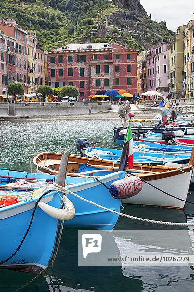 Colourful boats in the harbour; Vernazza  Liguria  Italy