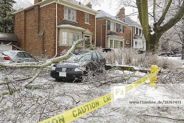 Auto Baum fallen fallend fällt Sturm Eis Ast Nachbarschaft Kanada Ontario Toronto