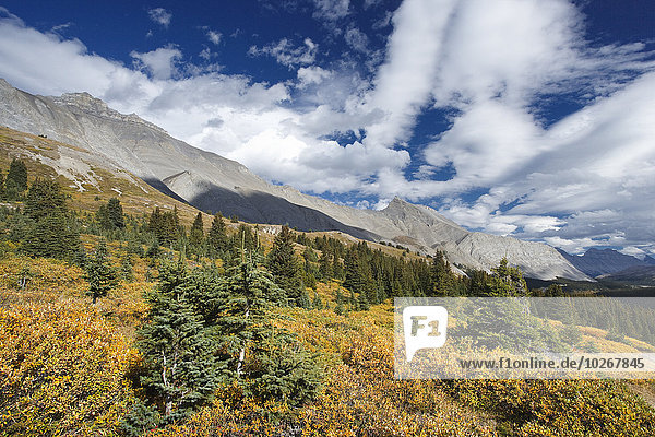 Farbaufnahme Farbe Berg sehen Berggipfel Gipfel Spitze Spitzen Wolke Jasper Nationalpark Alberta