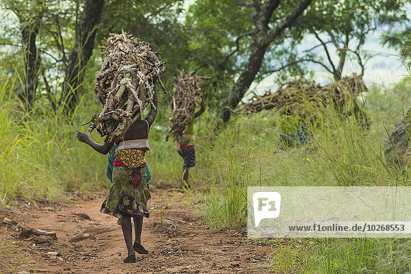 Feuerholz Haufen benutzen Frau gehen Fernverkehrsstraße schmutzig Trümmer Kohle Malawi