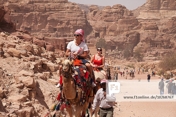 Straße Tourist Kamel Petra