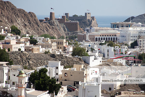 Al Mirani and Al Jalali Forts  Old Muscat; Muscat  Oman