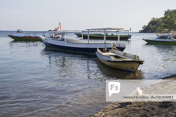 Hafen Boot Indonesien Lombok