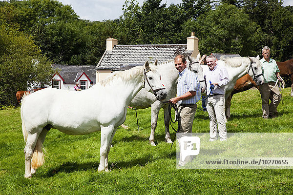Männer stehen mit ihren weißen Pferden auf der Wiese für die Pferdeschau; Kilgarvan  Grafschaft Kerry  Irland